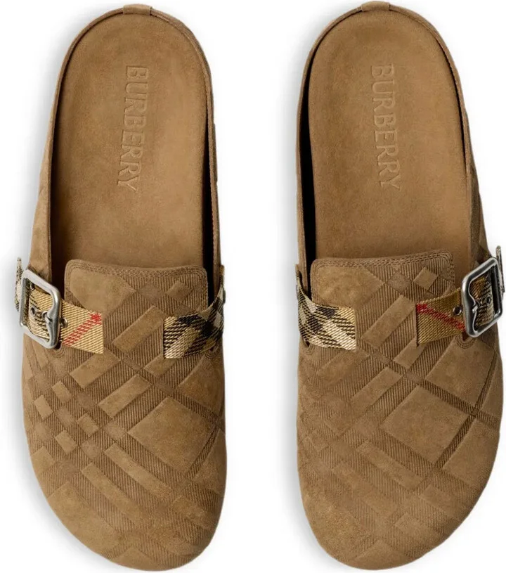 Urchin slides - Image 4