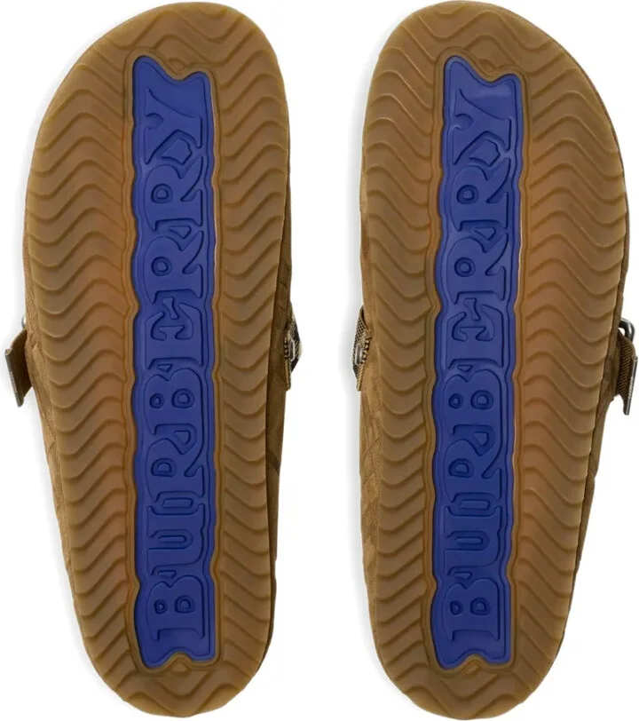 Urchin slides - Image 5
