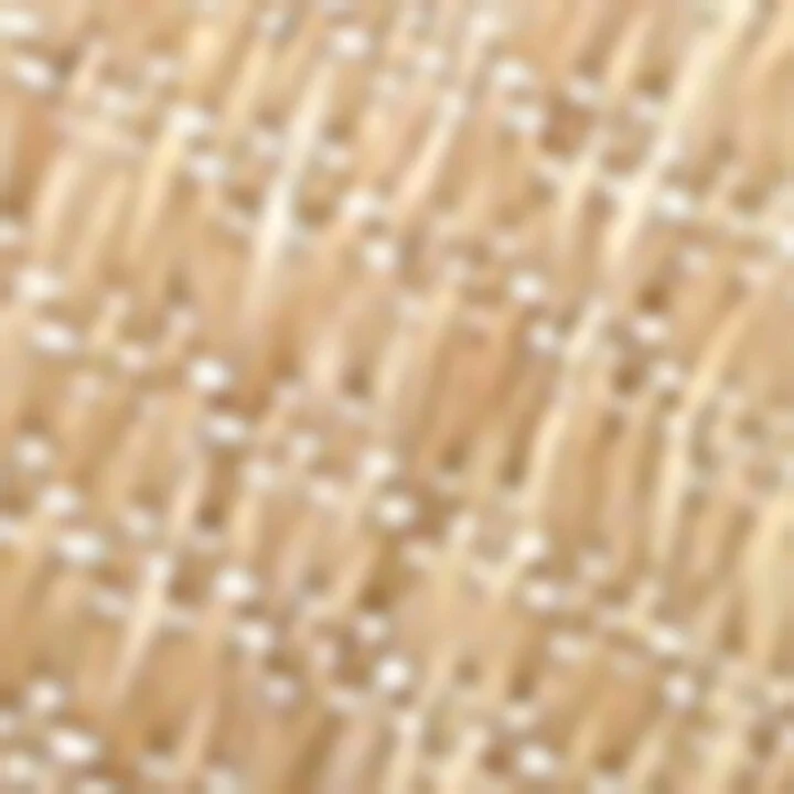 Valentino Garavani Raffia VLogo Cherry Heleed Mules 60 - Image 5