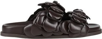 Chocolate brown