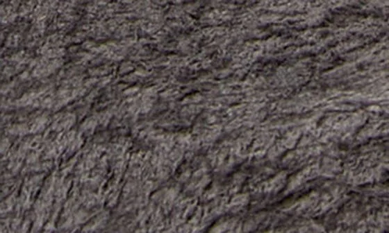 Vamonos Bootie - Image 6