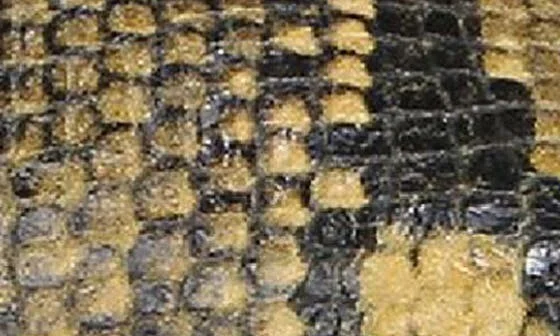 Vana Flat - Image 10