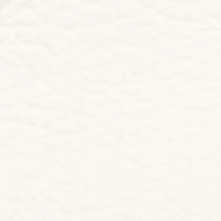 Veja Leather Campo Sneakers - Image 5