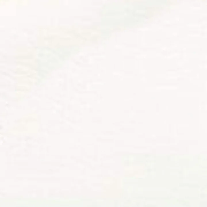 Veja Leather Campo Winter Low-Top Sneakers - Image 5
