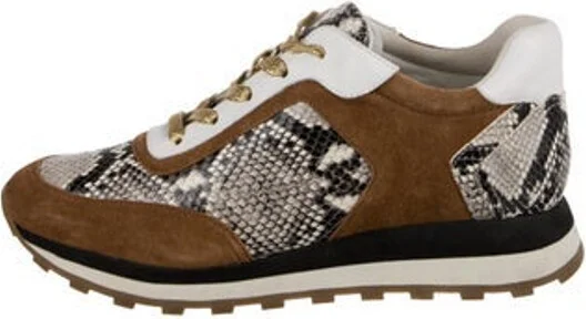 Brown, Pattern Prints