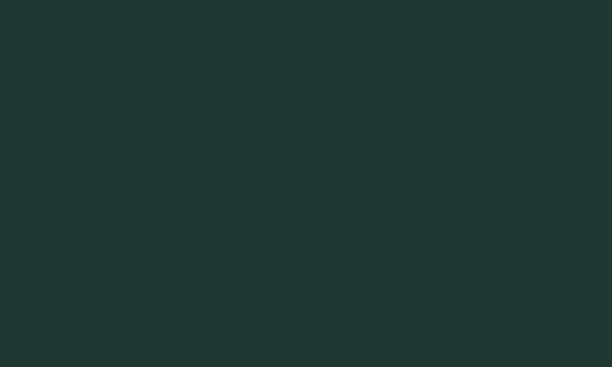 Vert Sneaker - Image 7