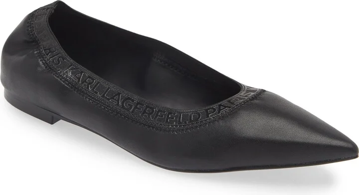 Vinette Pointed Toe Flat