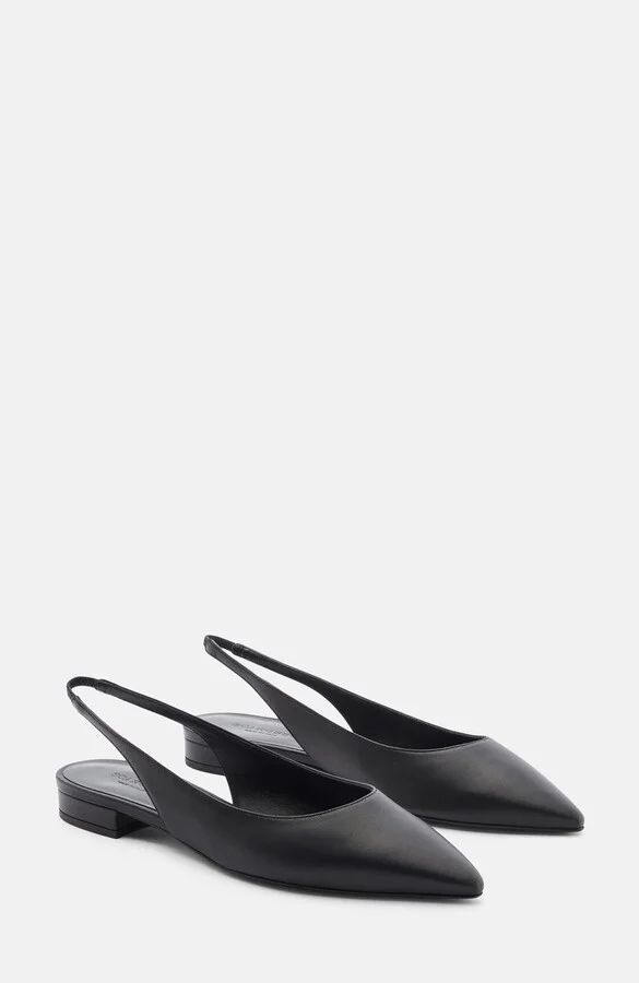 Viviana Ballerinas