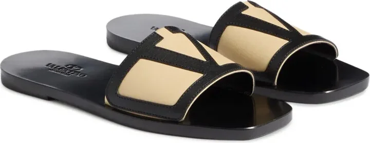 VLogo Signature slides - Image 2