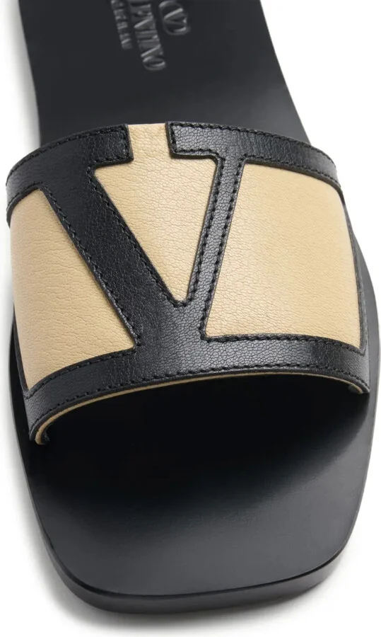 VLogo Signature slides - Image 5