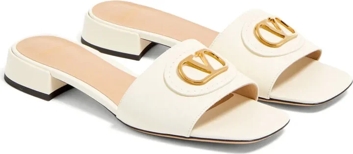 VLogo Signature slides - Image 2