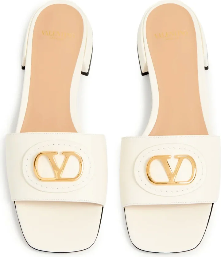 VLogo Signature slides - Image 4