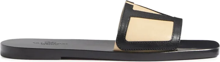 VLogo Signature slides