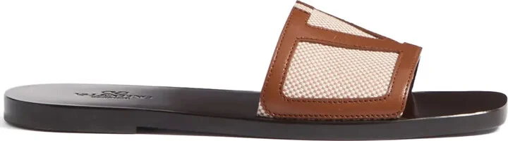 VLogo Signature slides