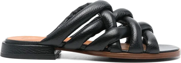 Wapip slides
