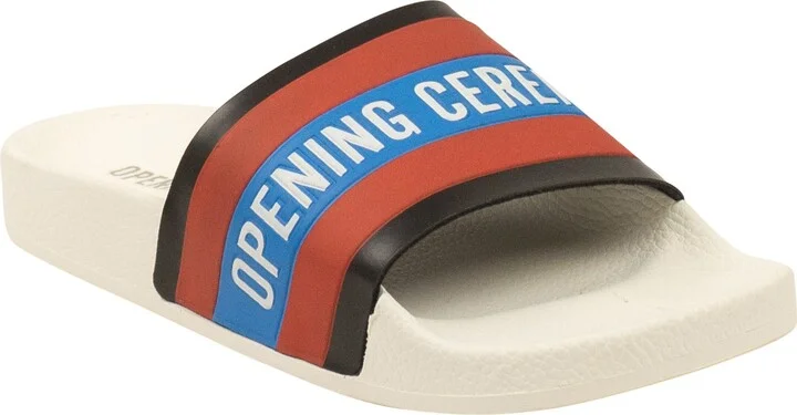 White Ace Logo Slides