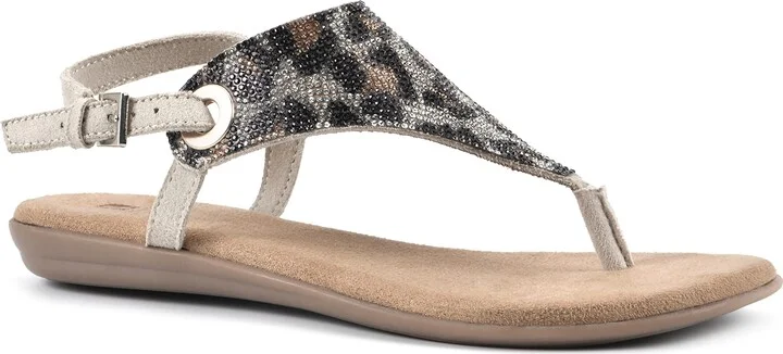 Leopard/Multi