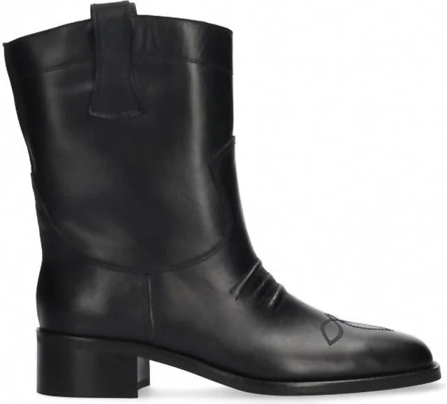 Women's Briana Ankle Boot In Black