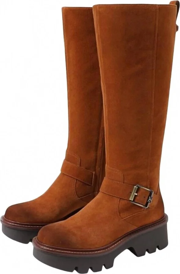 Women's Carter Buckle Detailed Chunky Heel Knee High Boots In Stable Brown