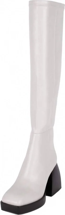 Women's Dauphin Knee High Boot In Light Grey