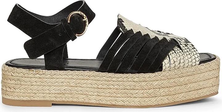 Black Python