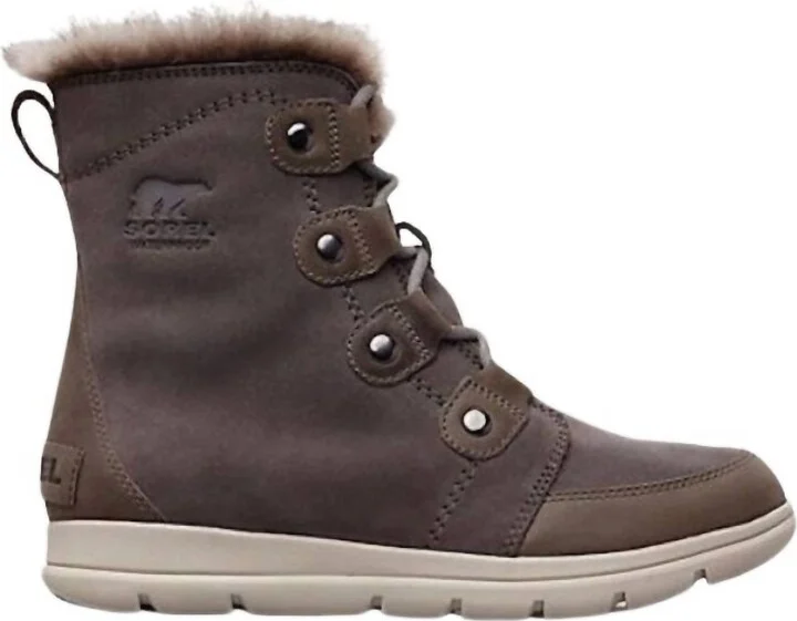 Women's Explorer Joan Winter Boot In Quarry