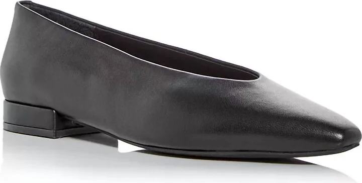 Women's Hinted Pointed Flats In Black