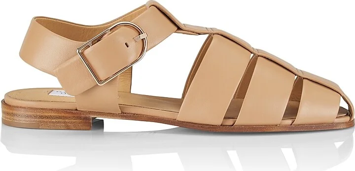 Dark Camel