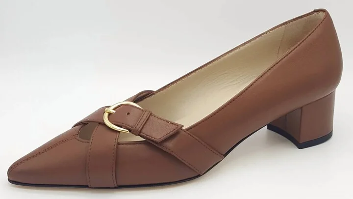 Women's Pacifico Pointed Toe Pump In Brown