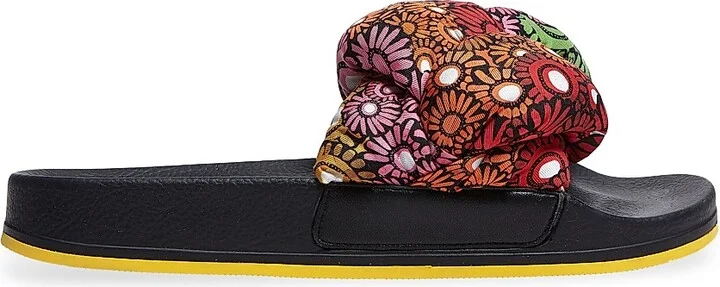 Pride Daisy Multicolor