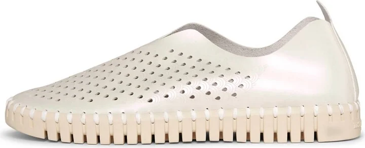 Women's Tulip 3576N Flat In Whitecap