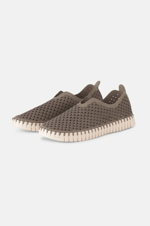 Women's Tulip Flats In Falcon