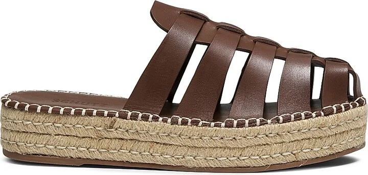 Desert Brown