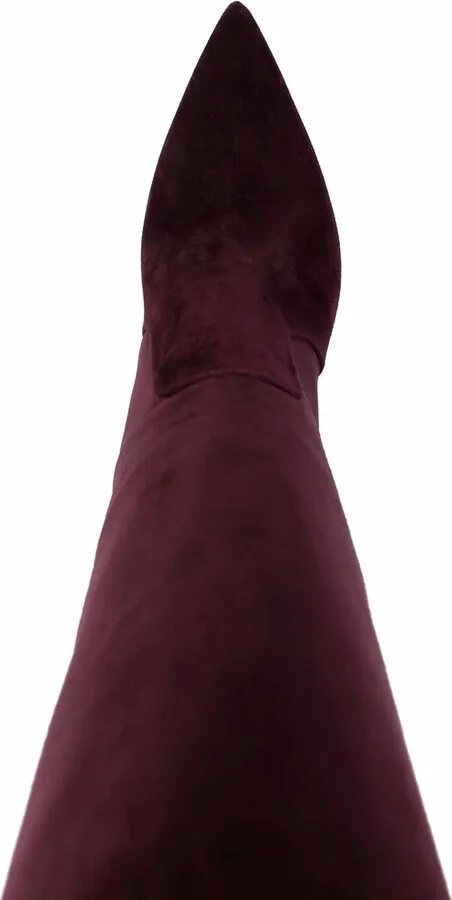 x Brian Atwood Carra suede boots - Image 4