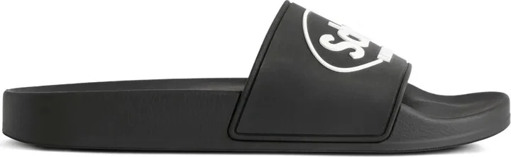 x Scholl logo slides