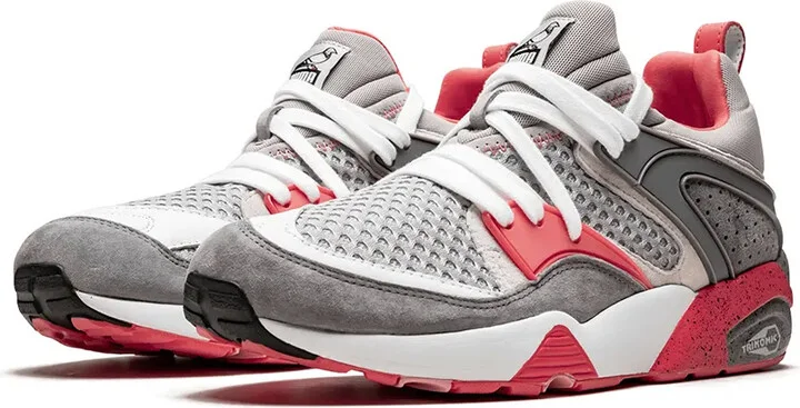x Staple Blaze Of Glory OG X Staple "Pigeon" sneakers - Image 2