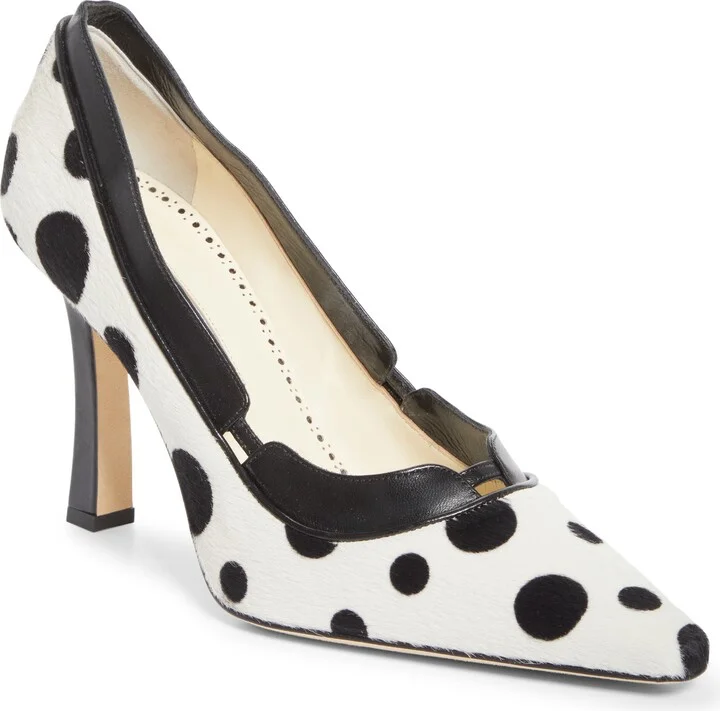 Xerxa Pointed Toe Pump