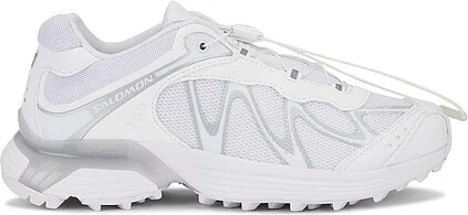 White And Lunar Rock