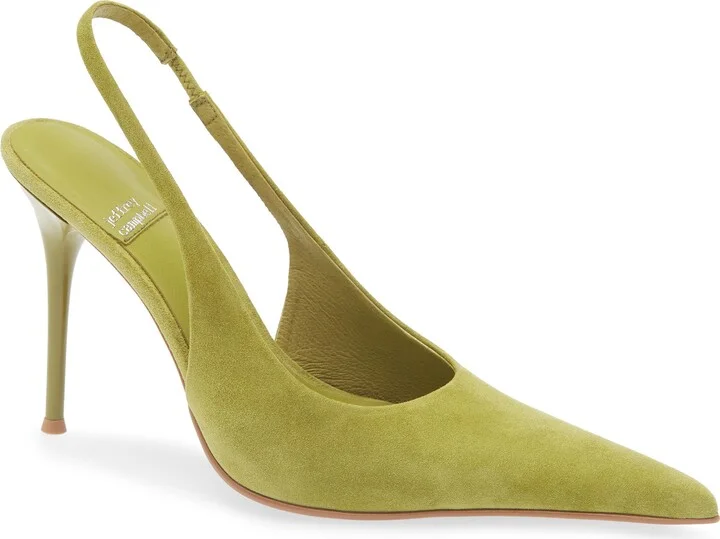 You Wish Slingback Pointed Toe Pump