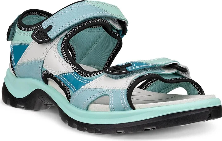 Multicolor Aquatic