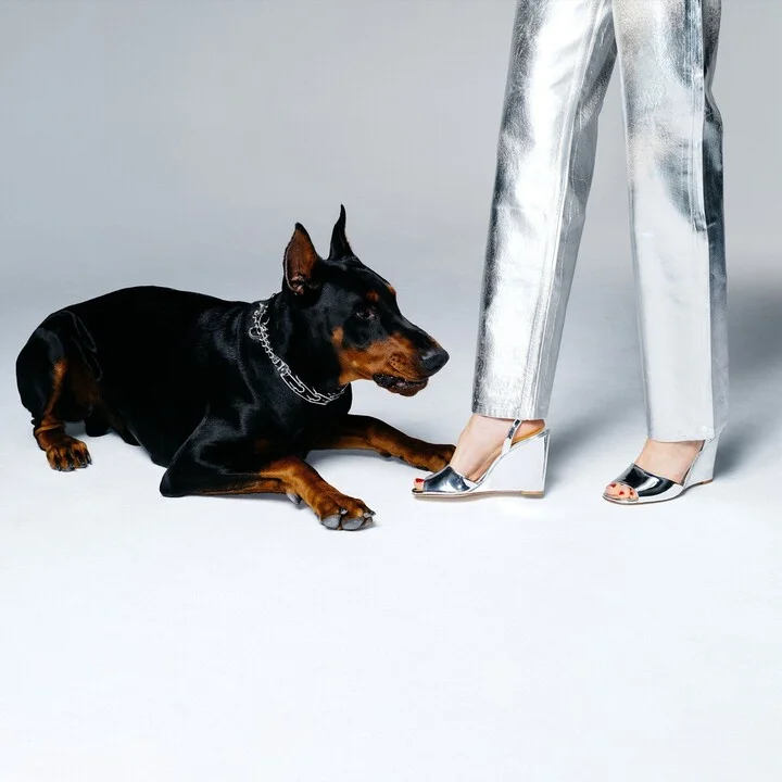 Yves Wedge - Image 7