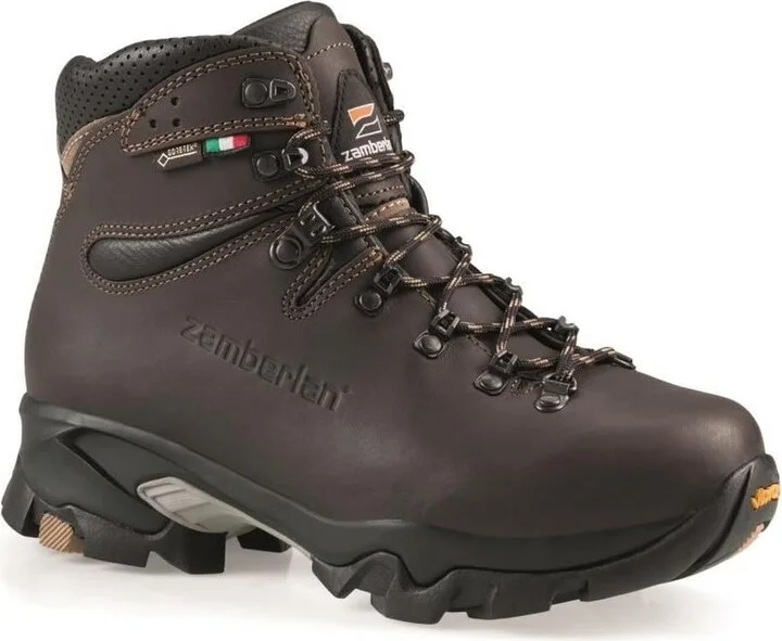 Zamberlan Men's VIOZ GTX Backpacking Boot